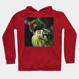 Military Macaw Hoodie